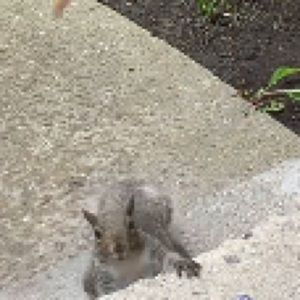 Meet your Posher, Vinujah